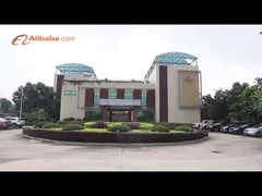 گوانگژو وایکینگ قطعات اتوماتیک CO، LTD